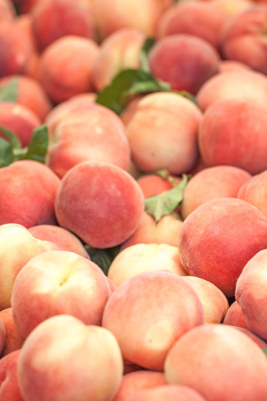 Heavenly Peach 天桃