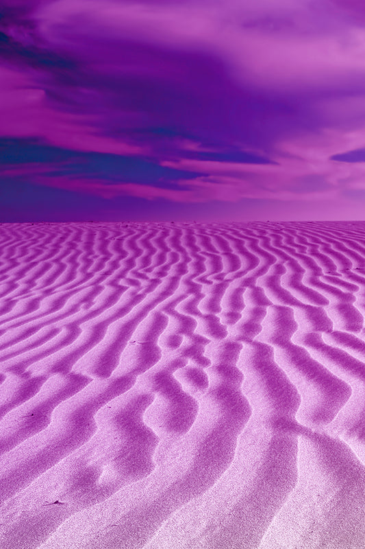 White Musk 白麝香